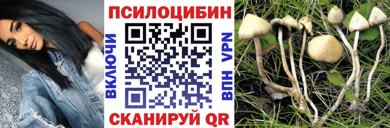 Купить закладки  Звенигород  Галлюциногенные грибы мицелий 